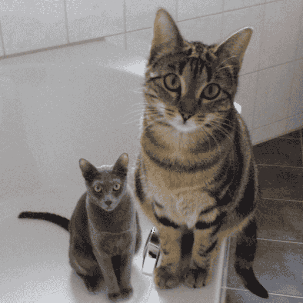 Kirabelle & Niki mit erwartungsvollem Blick