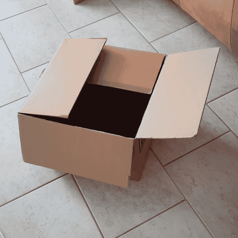 Grosse Schachtel für Katzen-Gamebox