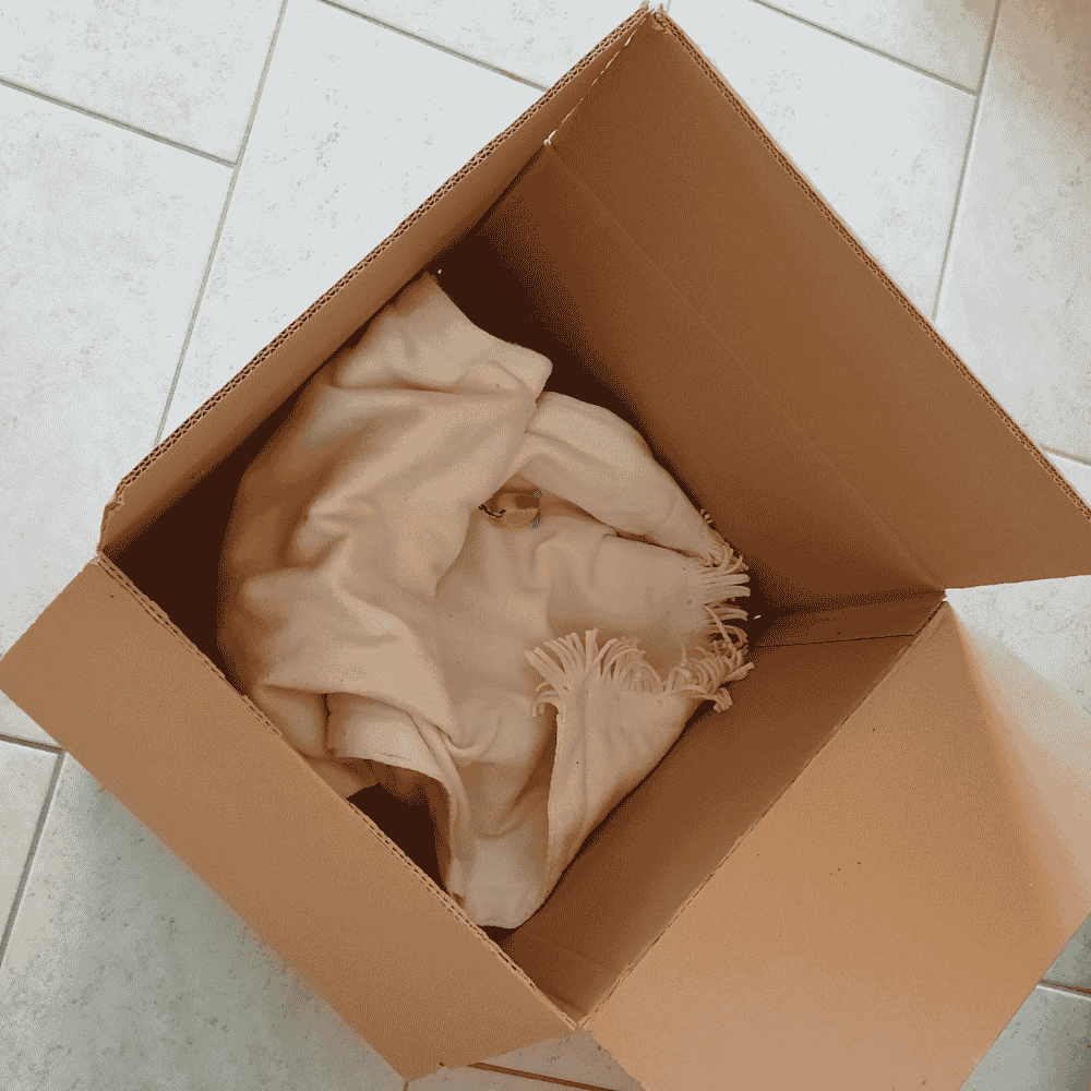 Fertige Katzen-Gamebox