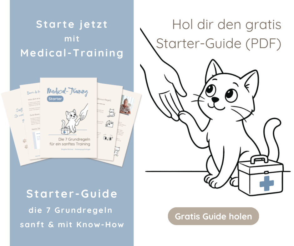 Kostenlos für dich: Starter-Guide Medical-Training