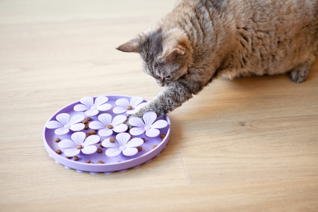 Activity Feeding ganz simpel