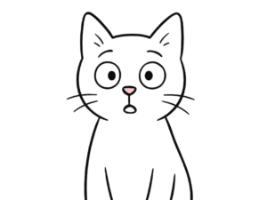 Was ist Katzenpsychologie und Katzenverhaltensberatung?