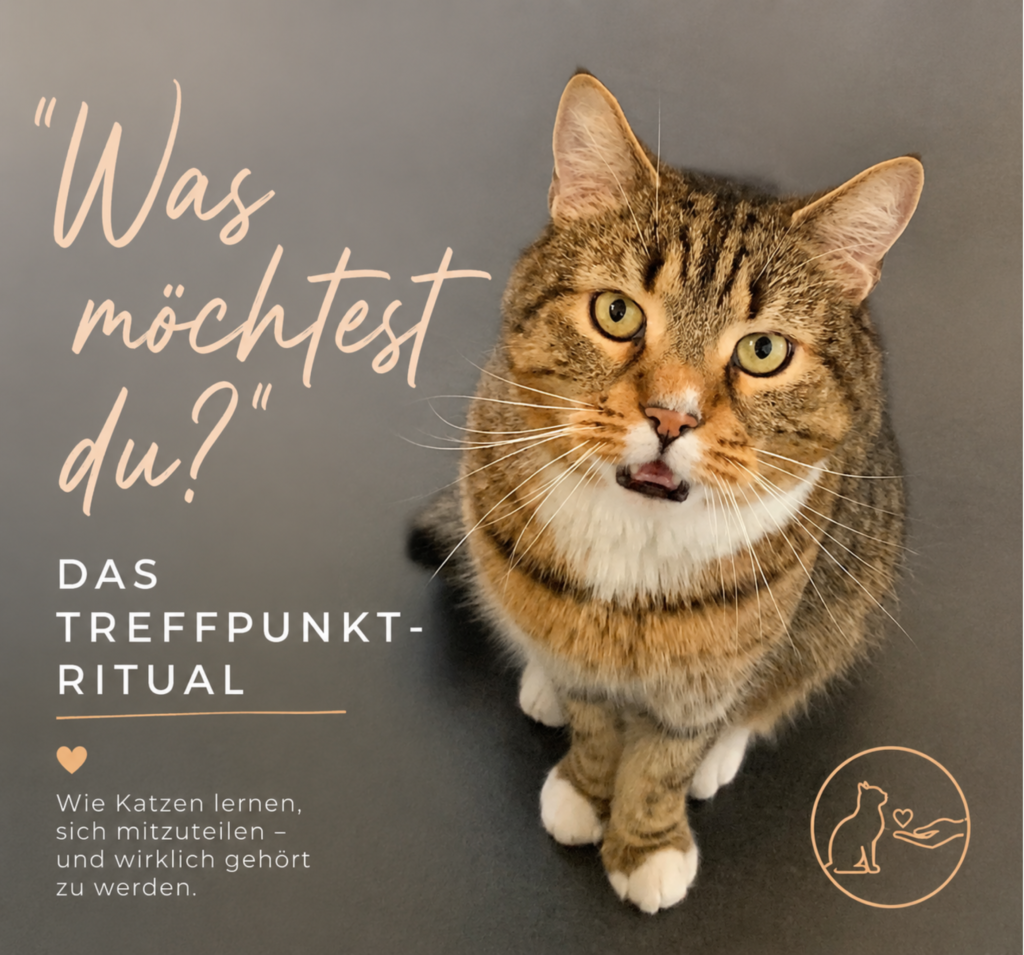 Mini-Kurs "Was möchtest du?"