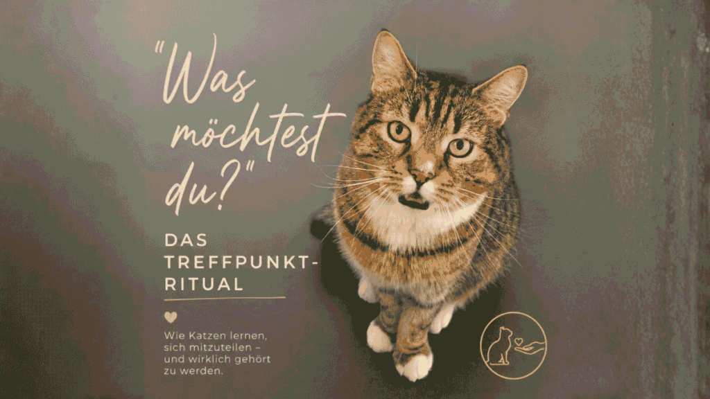 Mini-Kurs "Was möchtest du?"