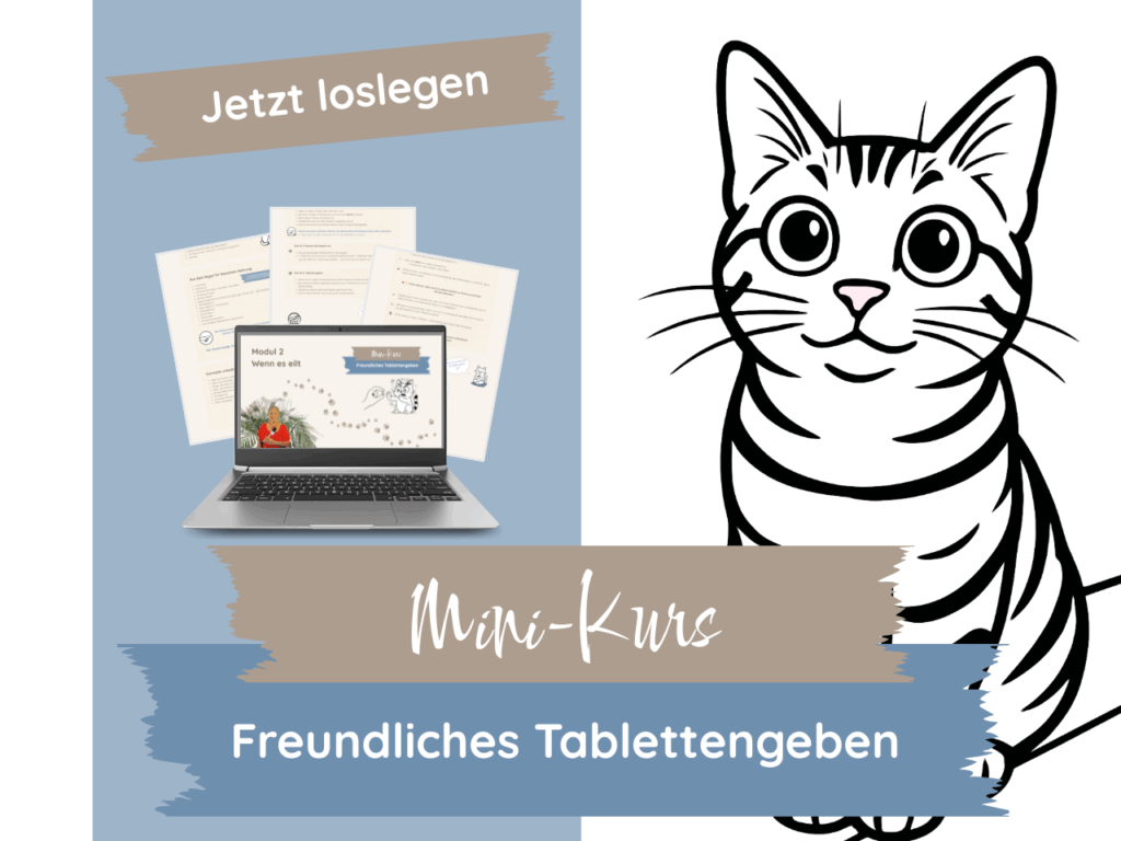 Mini-Kurs Freundliches Tablettengeben