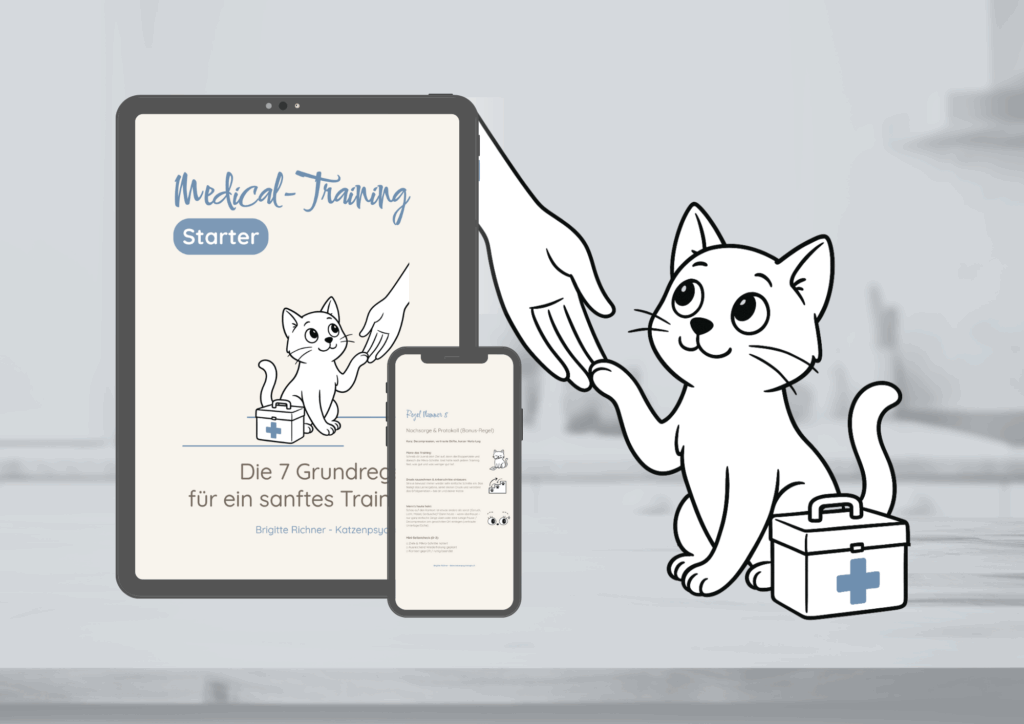 Medical-Training Starter-Guide