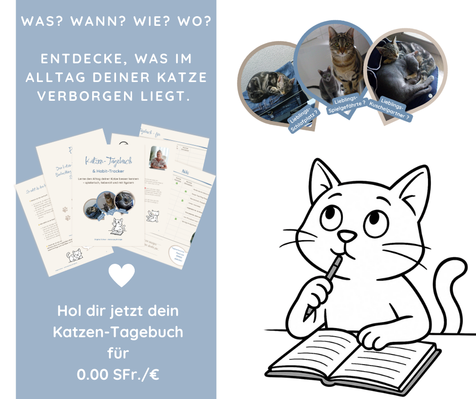 Kostenloses Katzen-Tagebuch & Habit-Tracker