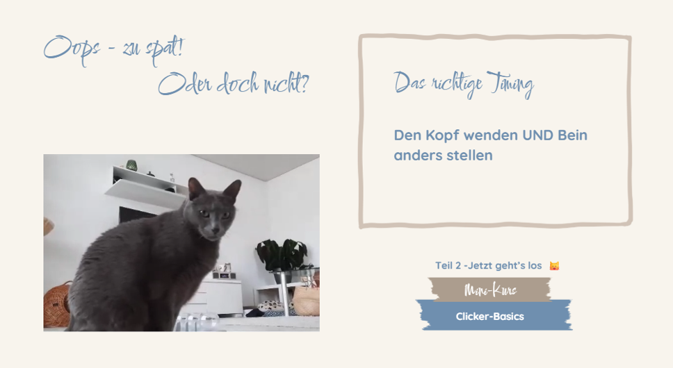 Kursauschnitt Niki in Mini-Kurs Clicker-Basics