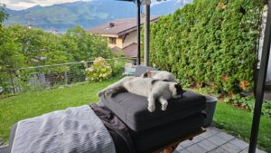 Andrea mit Sevi & Mani